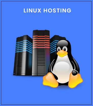 Linux Web Hosting Company in Kolkata, India